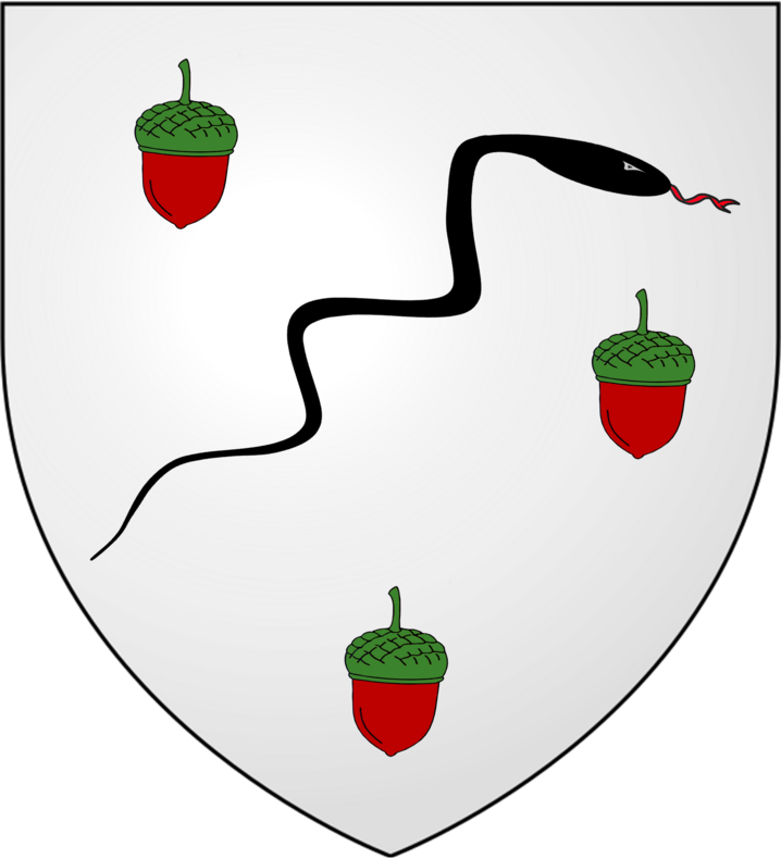 Armoiries Famille de Ruffray