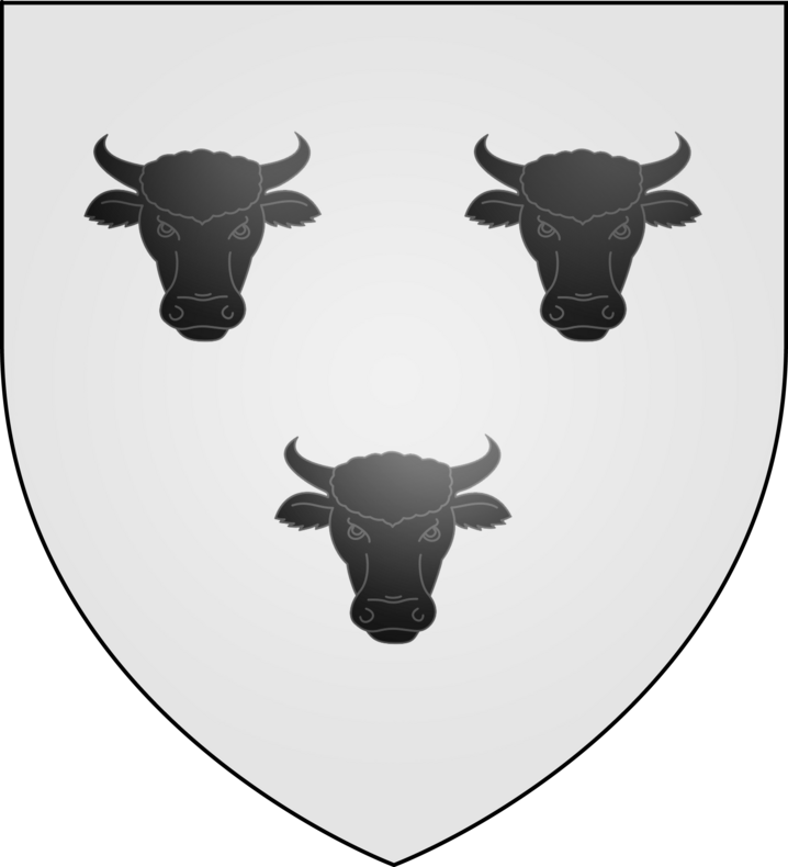 Armoiries Famille de Tournebulle